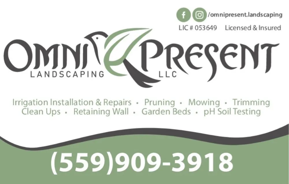 Expert yard cleanup service in Visalia, CA by Omnipresent Landscaping
