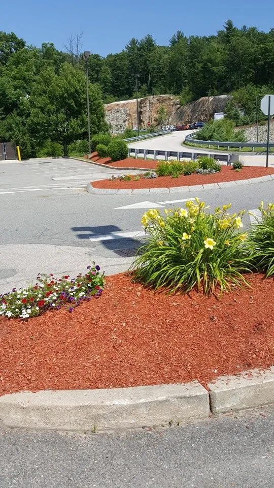 Affordable landscape design for homes across Manchester, NH - OMS