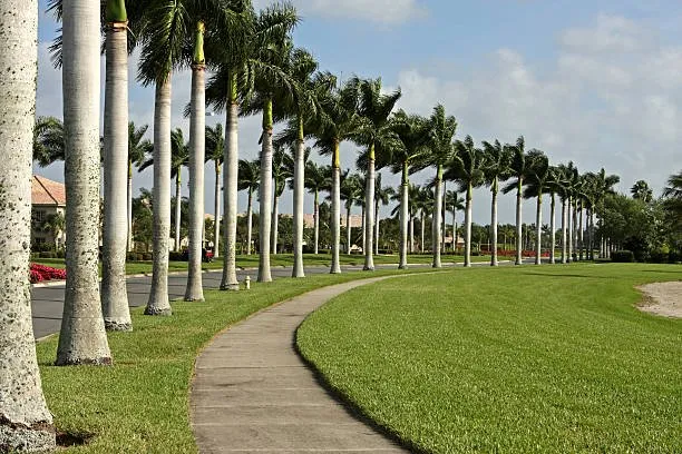 Reliable residential landscaping for homes across St. Cloud, FL - On & Son’s