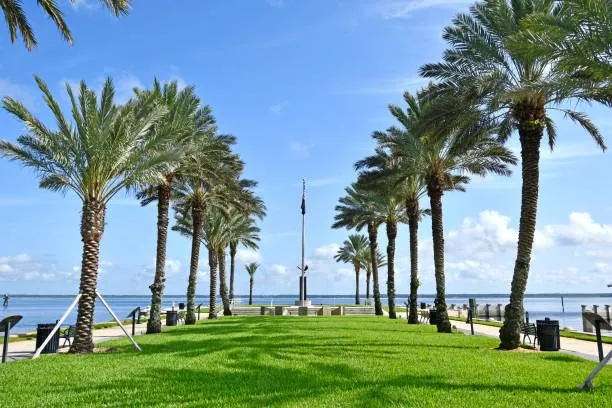 Top-rated lawn care service near you in St. Cloud, FL by On & Son’s