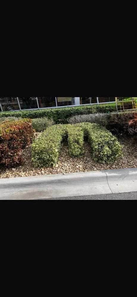 Trusted landscaping services for year-round maintenance in St. Cloud, FL by On & Son’s