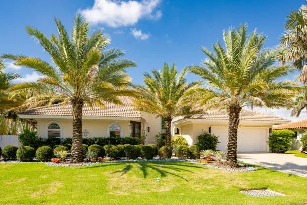 Reliable lawn mowing service experts serving St. Cloud, FL - On & Son’s