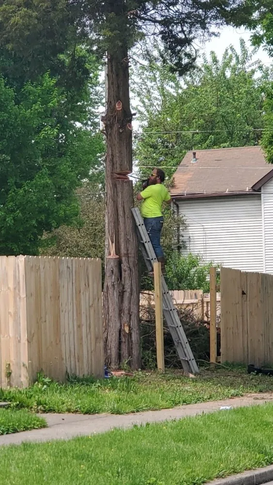 Expert garden landscaping in Bluffton, IN by On A Budget Tree Removal