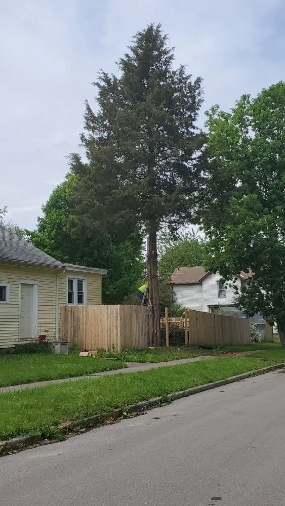 Local landscape design in Bluffton, IN by On A Budget Tree Removal