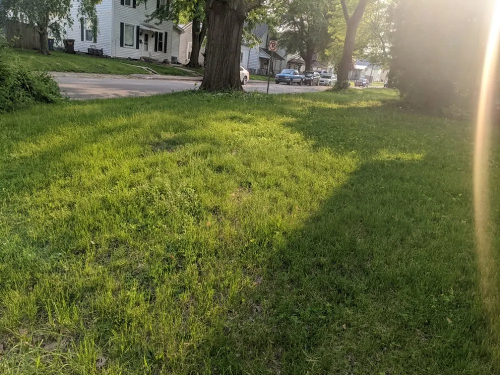 Local landscape installation experts serving Bluffton, IN - On A Budget Tree Removal