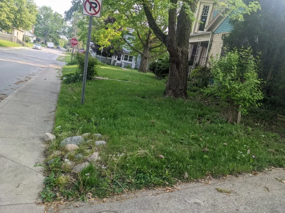 Professional outdoor landscaping in Bluffton, IN - On A Budget Tree Removal