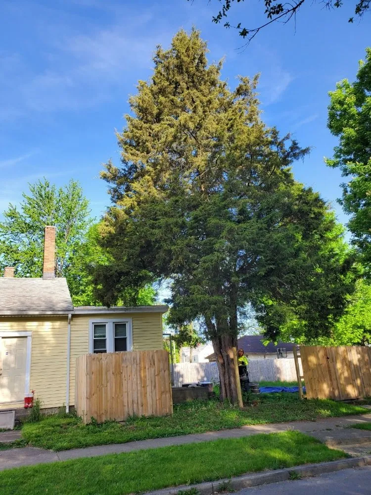 Trusted yard maintenance in Bluffton, IN by On A Budget Tree Removal