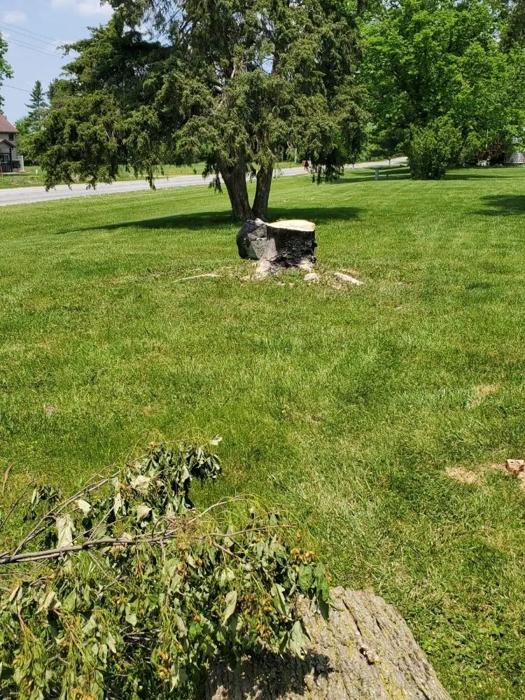 Top-rated landscape design for homes across Bluffton, IN - On A Budget Tree Removal