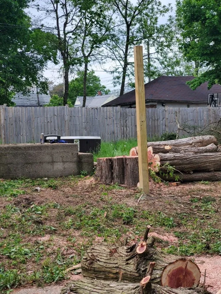 Local yard cleanup service experts serving Bluffton, IN - On A Budget Tree Removal