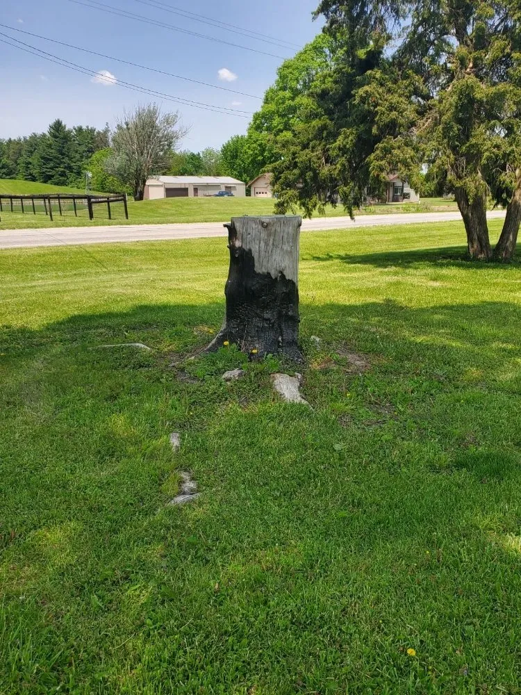 Local landscape design near you in Bluffton, IN by On A Budget Tree Removal