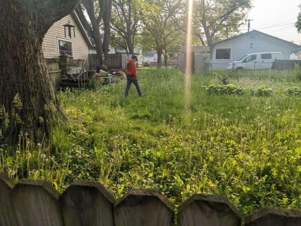 Affordable outdoor landscaping for residential properties across Bluffton, IN - On A Budget Tree Removal