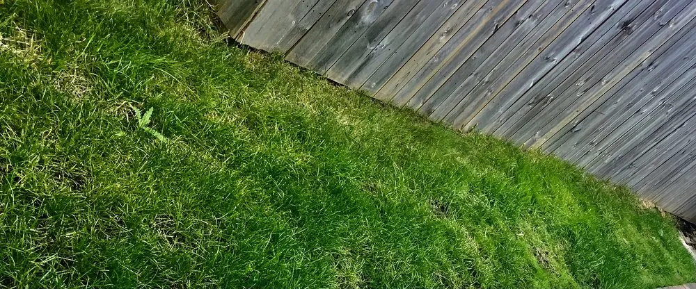 Trusted landscaping services for residential properties in Menomonee Falls, WI by On Board Landscaping