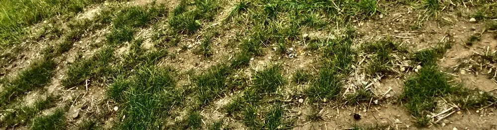 Professional yard maintenance in Menomonee Falls, WI - On Board Landscaping