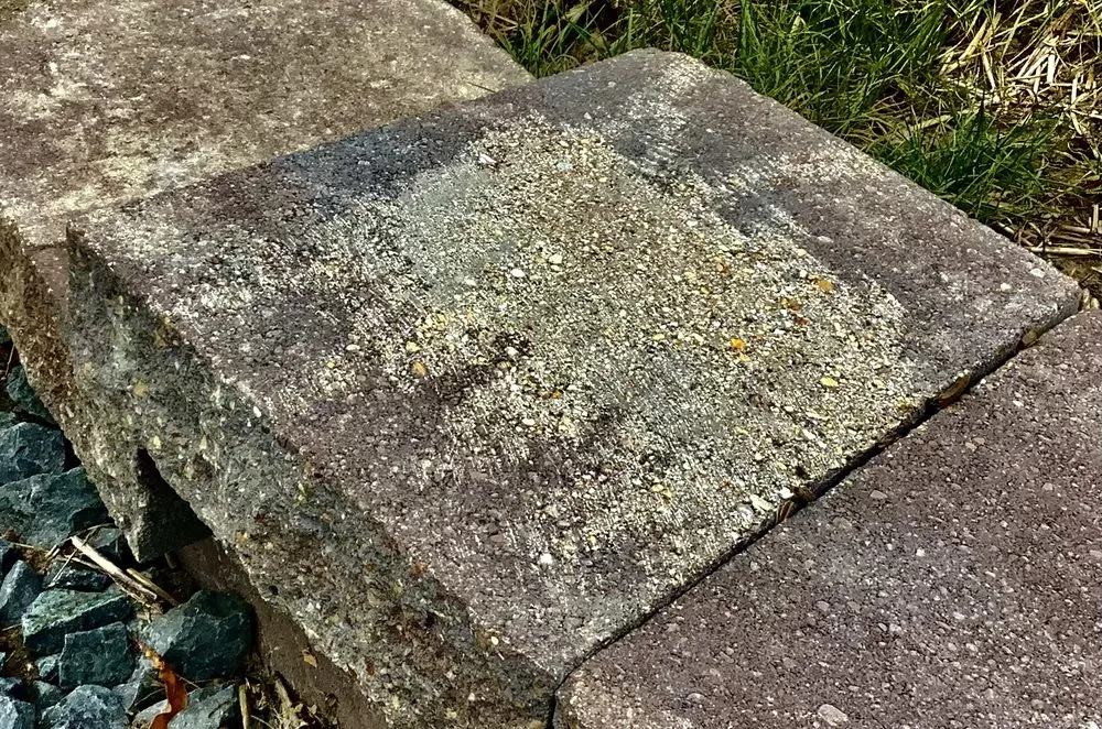 Top-rated yard maintenance in Menomonee Falls, WI - On Board Landscaping