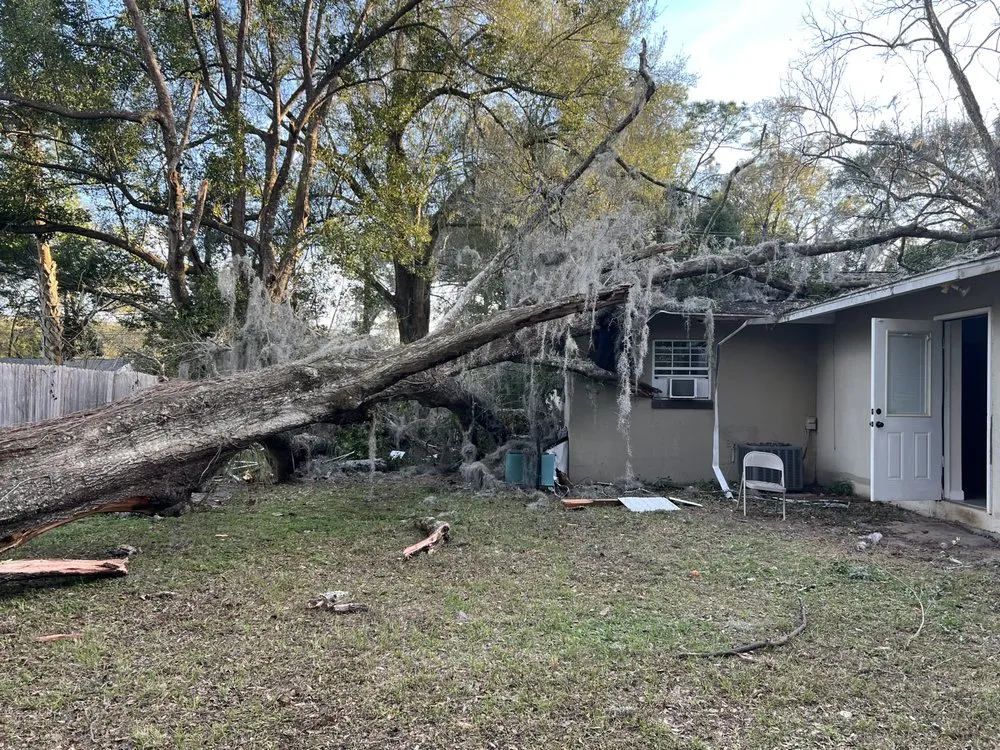 Top-rated residential landscaping with custom design in Hernando, FL by On Budget Tree Service