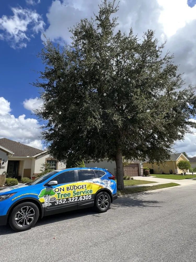 Expert landscape design for homes in Hernando, FL by On Budget Tree Service