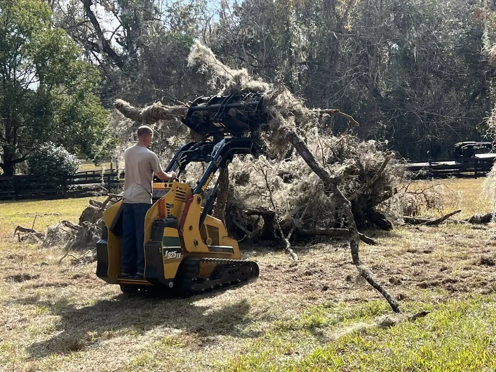 Local landscape installation for year-round maintenance across Hernando, FL - On Budget Tree Service