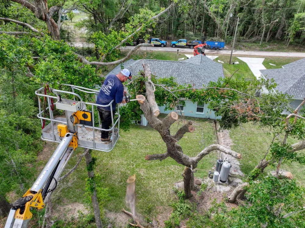 Custom lawn care service in Hernando, FL by On Budget Tree Service