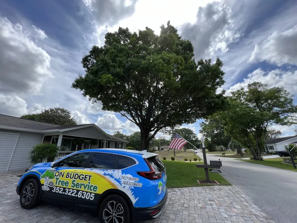 Top-rated lawn mowing service for homes in Hernando, FL by On Budget Tree Service