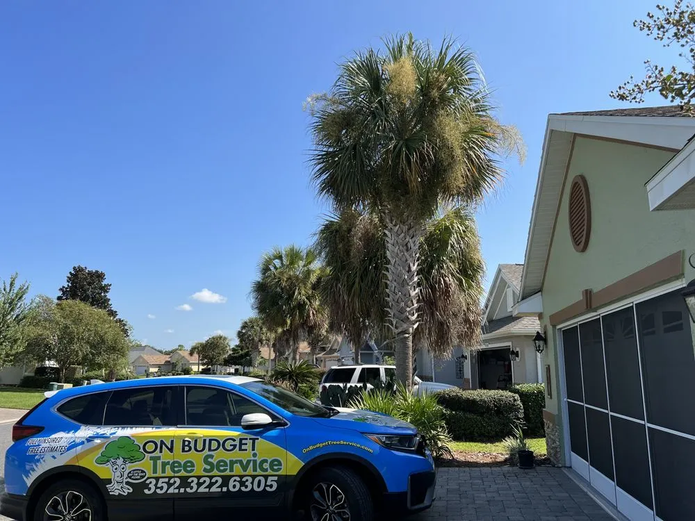 Local landscape design in Hernando, FL by On Budget Tree Service