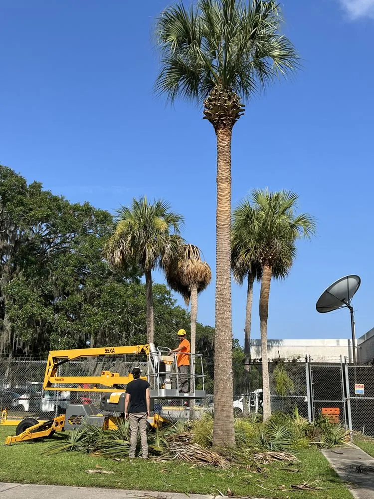 Trusted landscape design in Hernando, FL by On Budget Tree Service