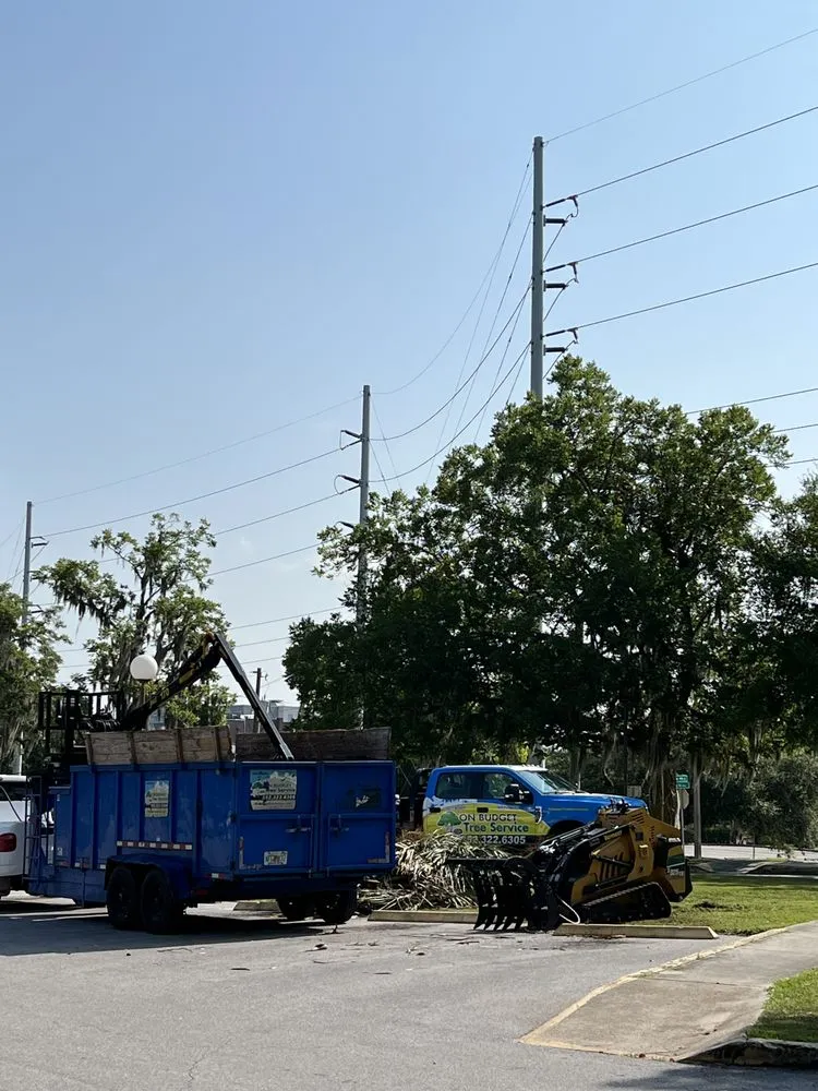 Top-rated outdoor landscaping in Hernando, FL - On Budget Tree Service