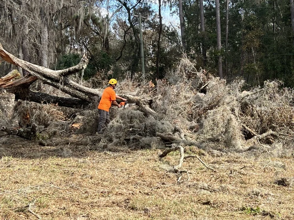 Reliable residential landscaping near you across Hernando, FL - On Budget Tree Service
