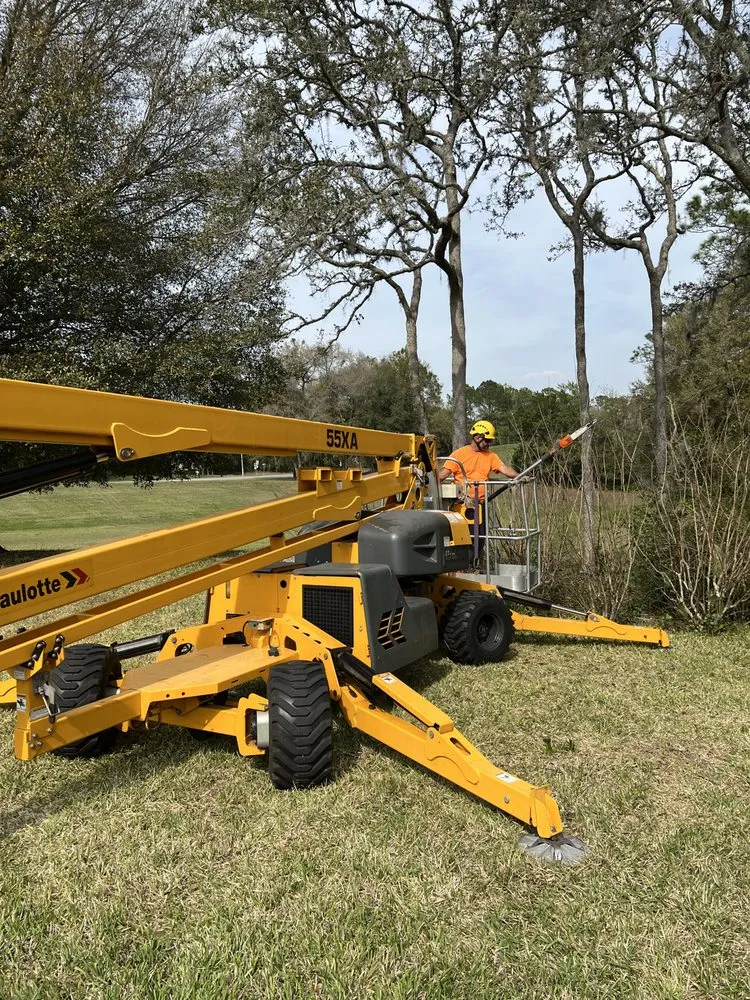 Top-rated outdoor landscaping in Hernando, FL by On Budget Tree Service