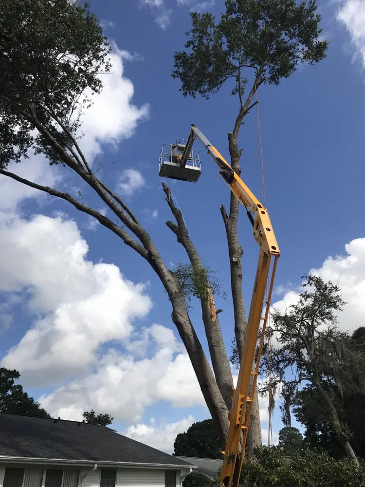 Top-rated lawn care service in Ocala, FL by On Budget Tree Service