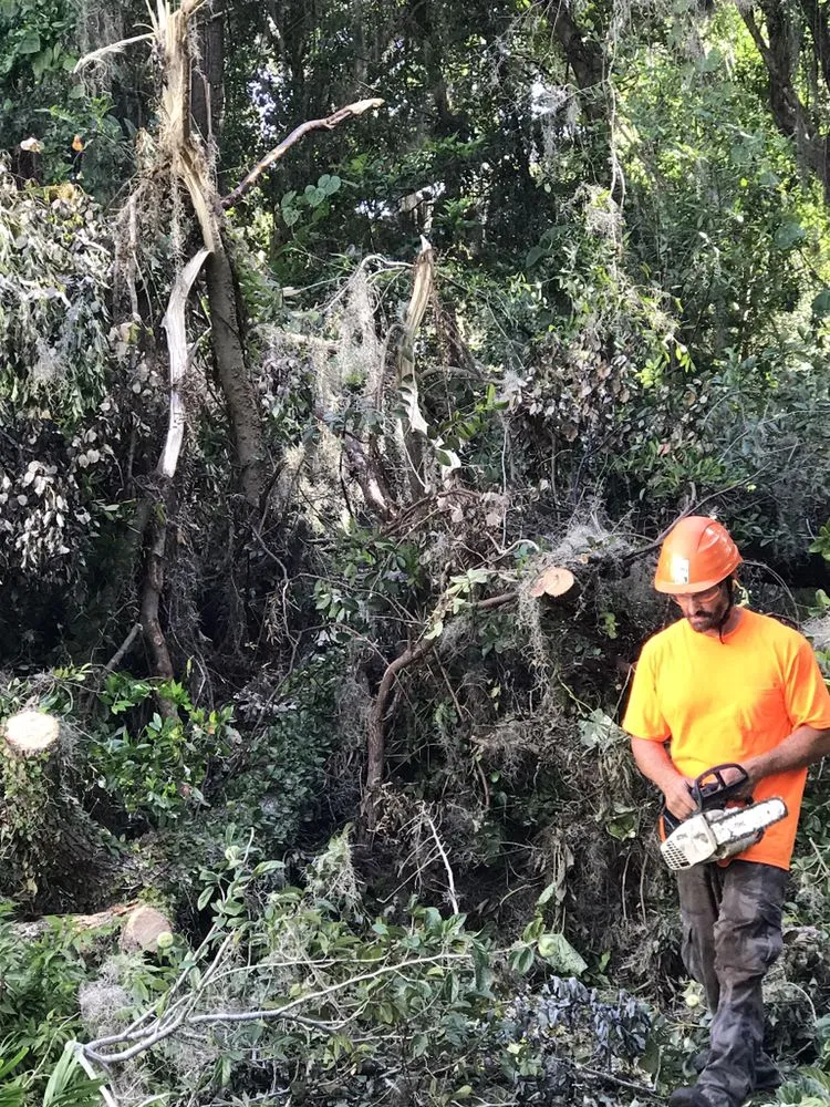 Professional outdoor landscaping in Ocala, FL - On Budget Tree Service