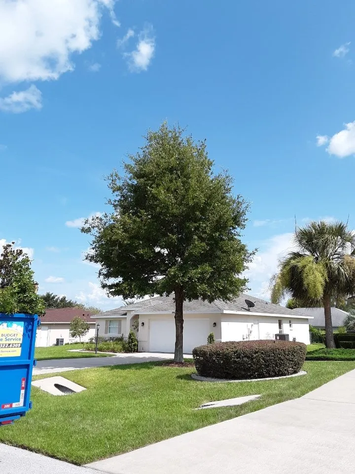Trusted yard cleanup service in Ocala, FL - On Budget Tree Service