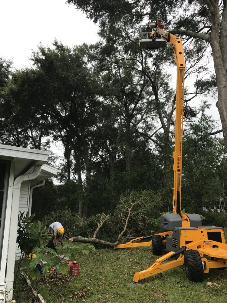 Local outdoor landscaping for residential properties in Ocala, FL by On Budget Tree Service