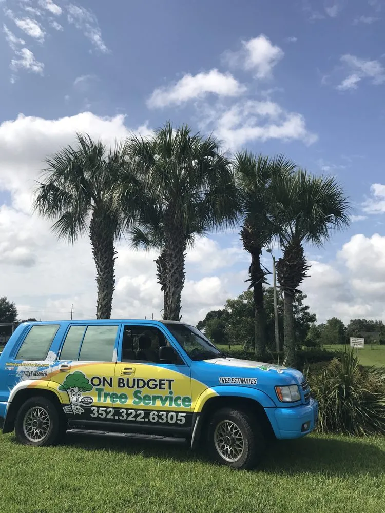 Trusted landscaping services in Ocala, FL - On Budget Tree Service