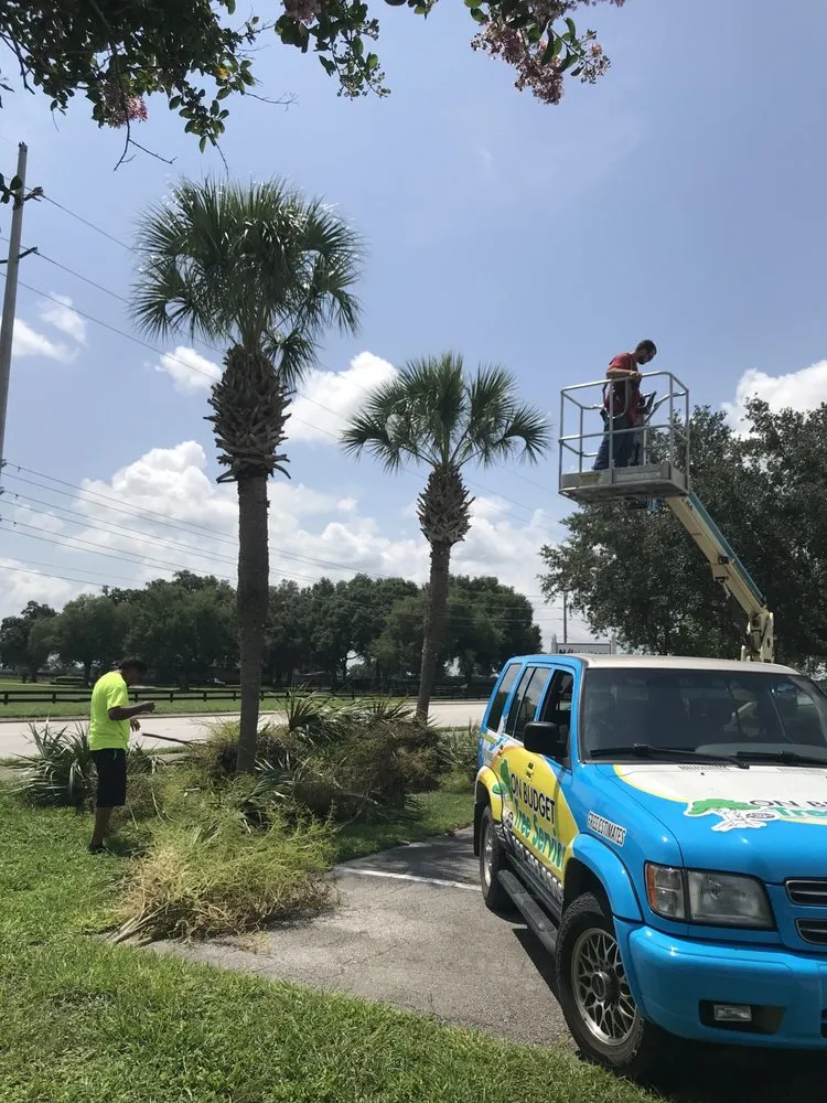 Professional lawn care service in Ocala, FL by On Budget Tree Service