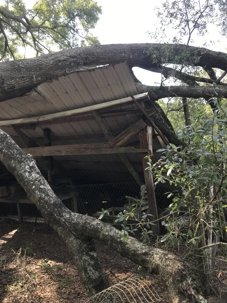 Local lawn mowing service with custom design in Ocala, FL by On Budget Tree Service