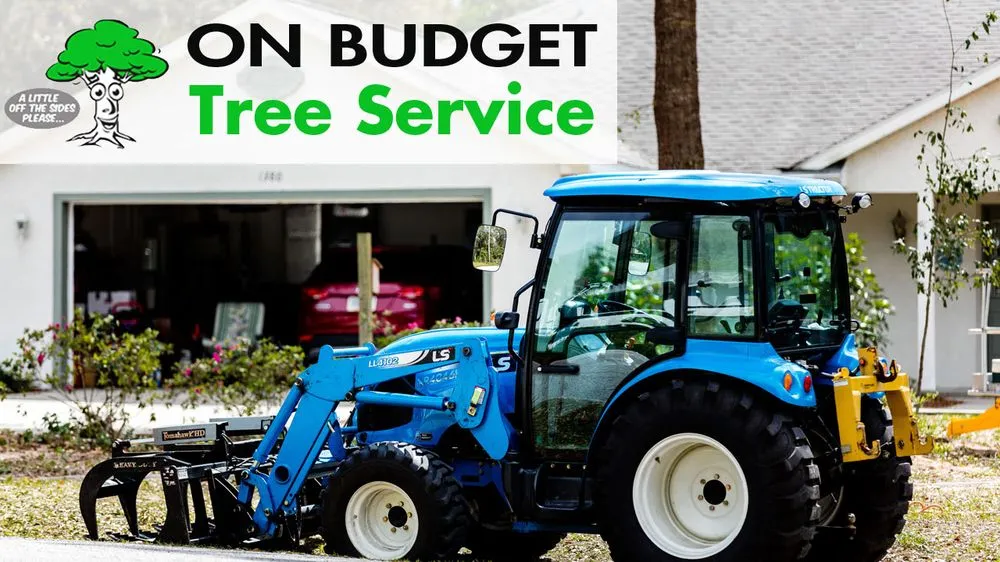Top-rated yard maintenance in Ocala, FL - On Budget Tree Service