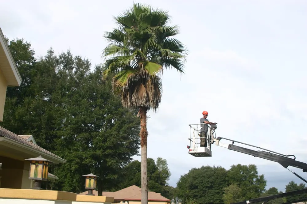 Expert lawn care service in Ocala, FL - On Budget Tree Service