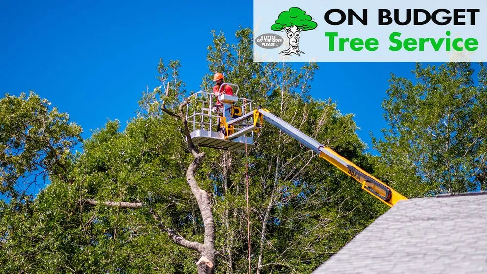 Custom garden landscaping in Ocala, FL by On Budget Tree Service