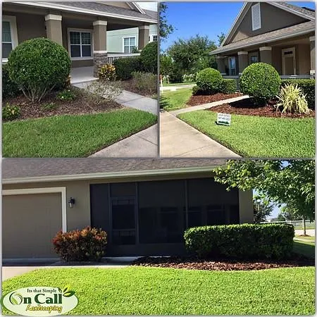 Trusted landscape installation experts serving Orlando, FL - On Call Landscaping
