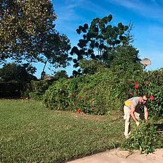 Custom garden landscaping experts serving Orlando, FL - On Call Landscaping