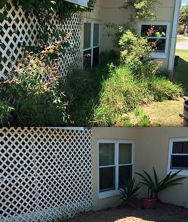 Top-rated landscape design experts serving Orlando, FL - On Call Landscaping