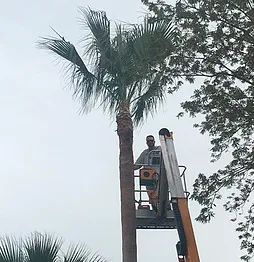 Reliable garden landscaping in Orlando, FL by On Call Landscaping