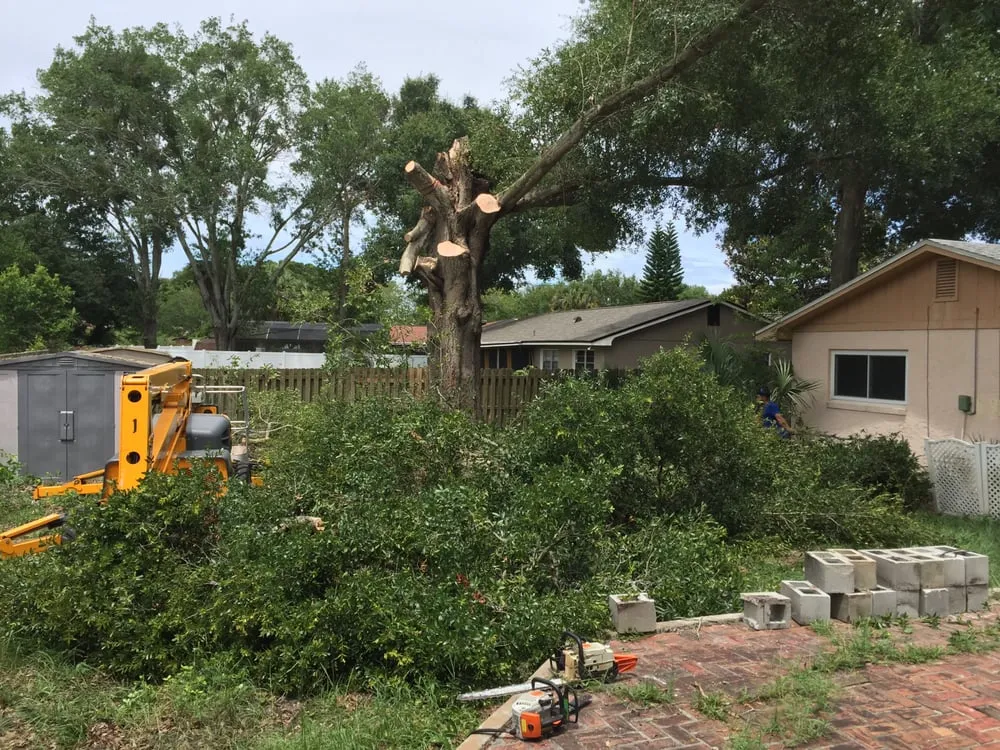 Local yard maintenance experts serving Orlando, FL - On Call Landscaping