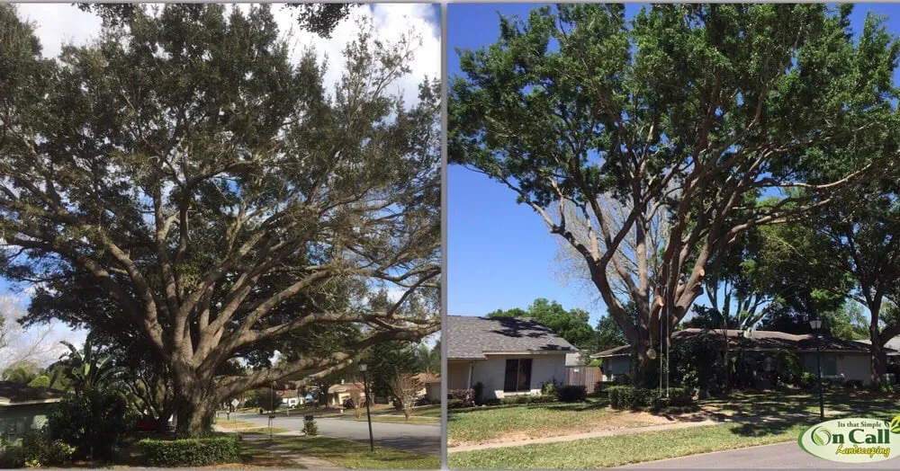 Local outdoor landscaping near you in Orlando, FL by On Call Landscaping