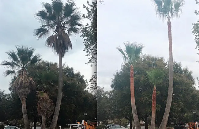 Local residential landscaping for homes across Orlando, FL - On Call Landscaping