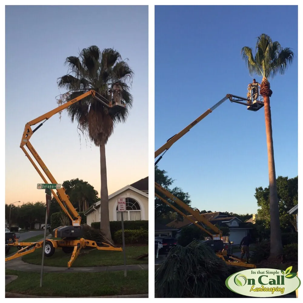 Affordable yard cleanup service in Orlando, FL - On Call Landscaping