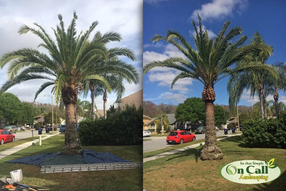 Professional lawn mowing service for homes in Orlando, FL by On Call Landscaping