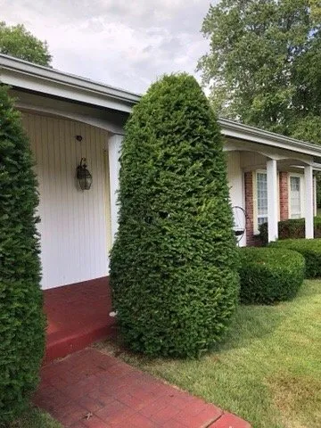 Trusted yard maintenance for outdoor upgrades in Florissant, MO by On Call Lawncare and More