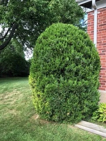 Reliable yard maintenance experts serving Florissant, MO - On Call Lawncare and More