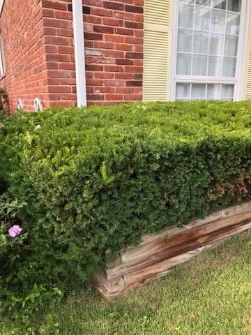 Trusted lawn care service in Florissant, MO by On Call Lawncare and More